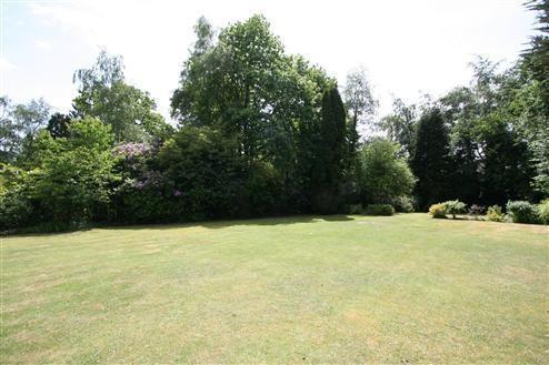 Rear Garden Alternate