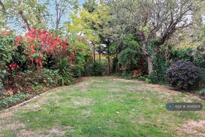 Rear Garden - Lawn