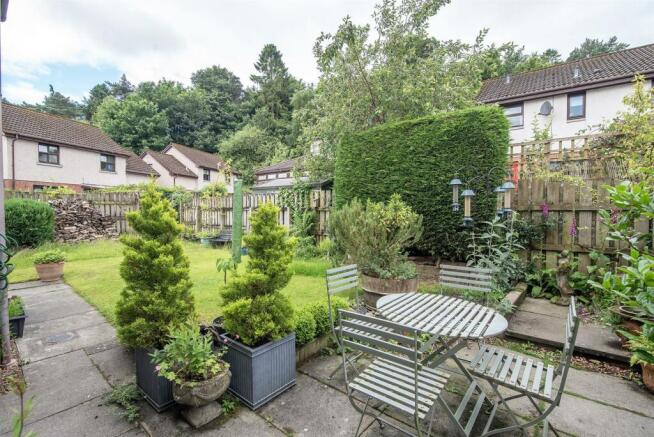 41.jpg
