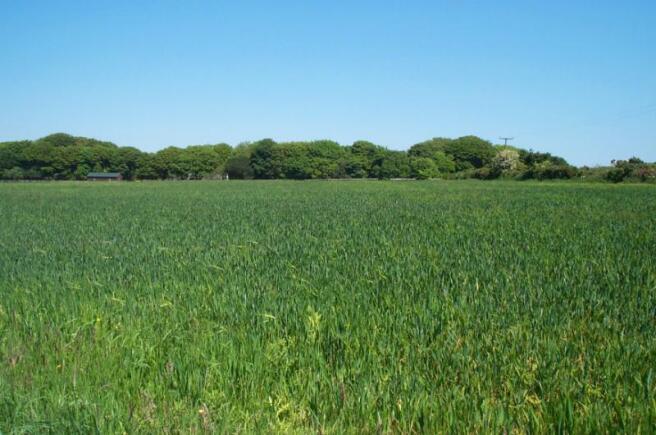 Field At Rear