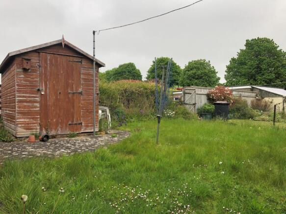 back garden.jpg
