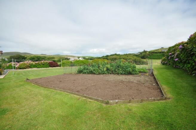 Lawn & veg garden