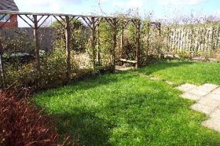 Rear Garden 2