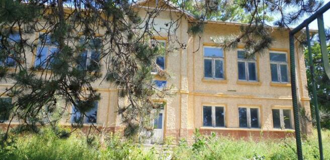 View of the former school building with yellow walls and many windows, partially hidden by pine tree branches