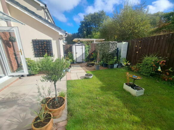 Photo 11