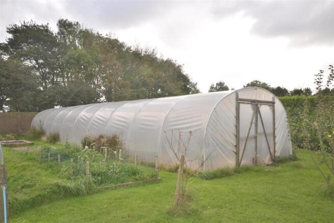 polytunnel.JPG