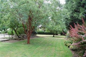 South facing garden