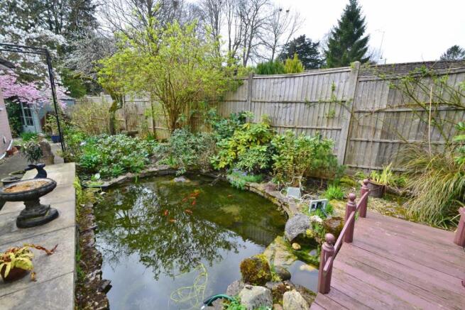 Pond