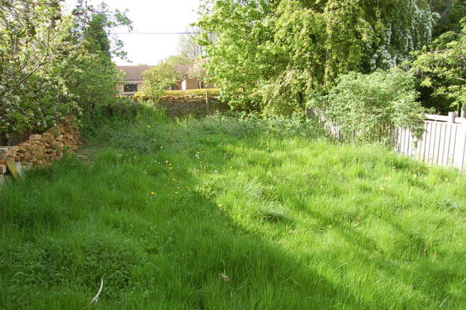 Wild Meadow