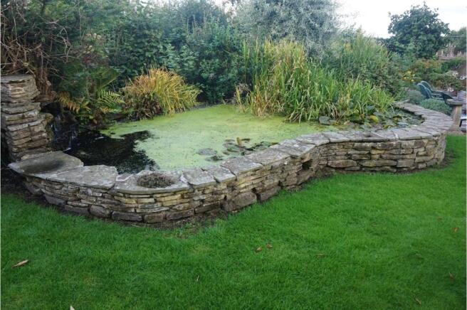 Pond