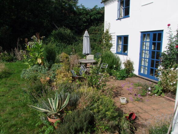 garden shot 2