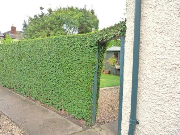 View hedge
