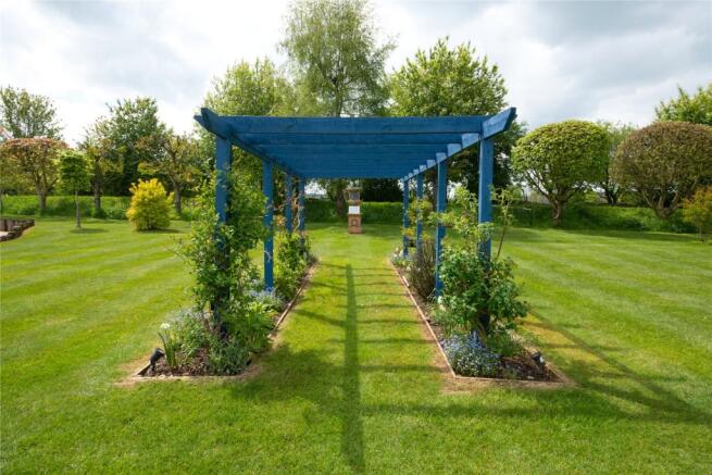 Picture 16