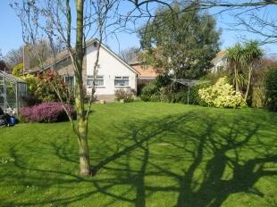 Back Garden