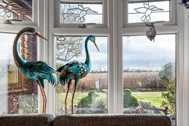 Bay Window