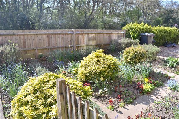 Front Garden/Outlook