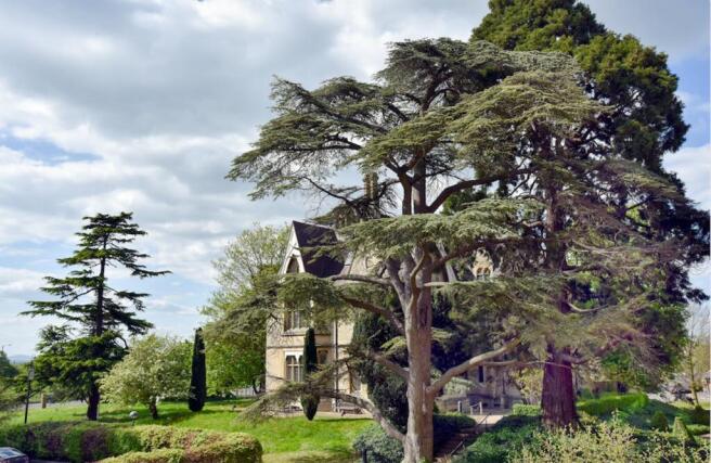 Manor through trees.png