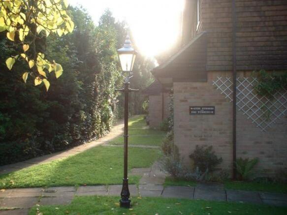 Photo 10