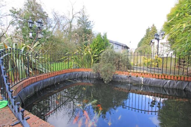 Pond