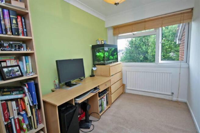 Photo 11