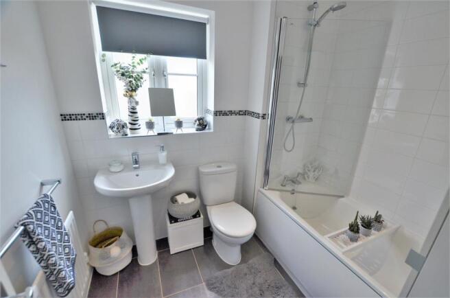 DSC_0431.JPG
