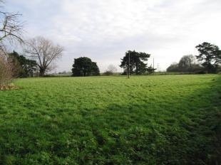 Paddock 1