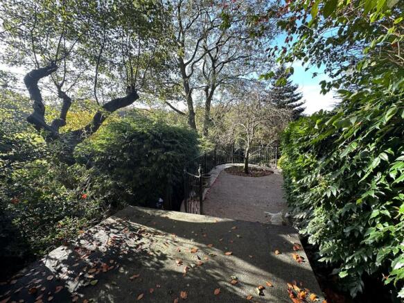 garden 4.jpg