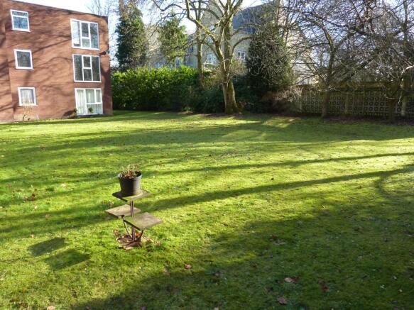Communal Garden B