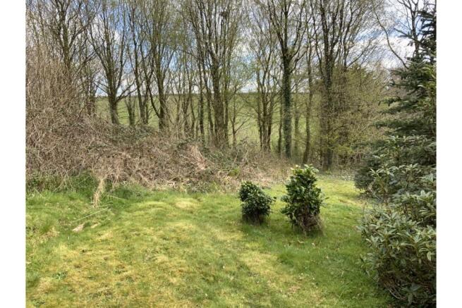 Woodland