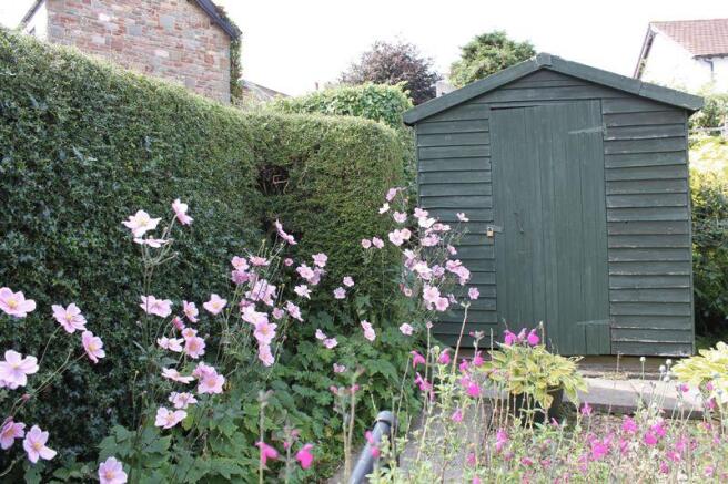 Rear Gardens
