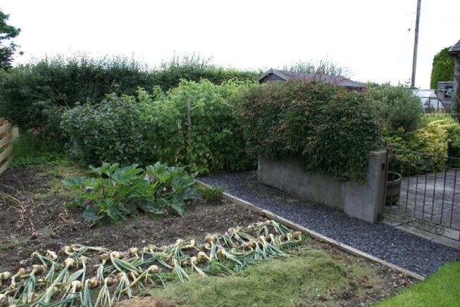 Vegetable Plot