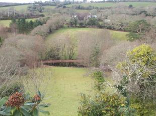 Land and pond