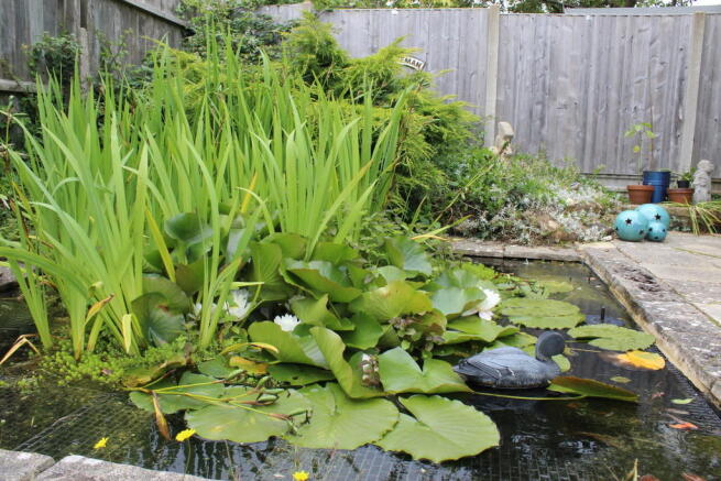 Photo 10