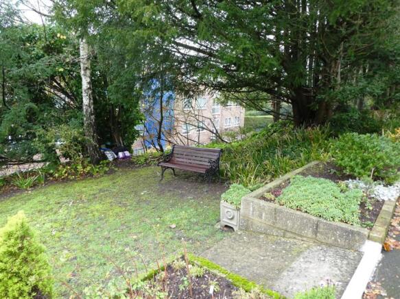 garden.JPG