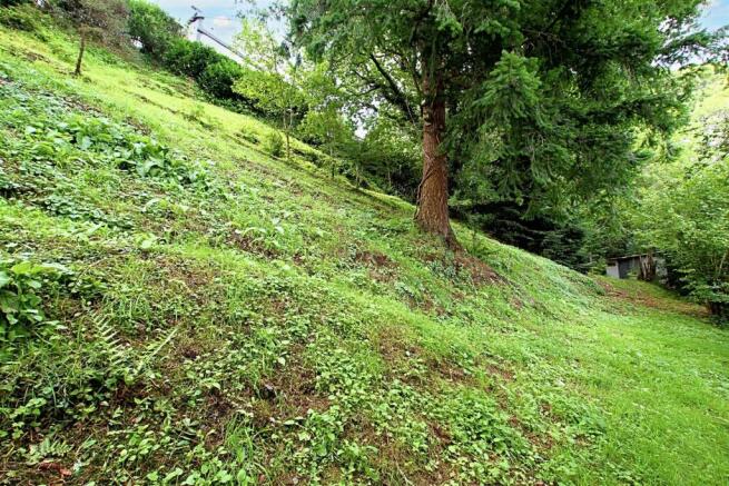Woodland and gardens
