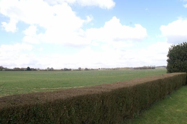 Field View