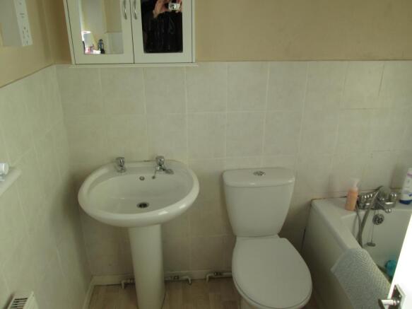 Image 20