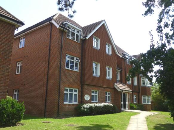 Main Image