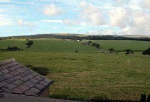 Views of...
