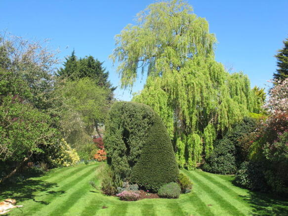 Photo 9