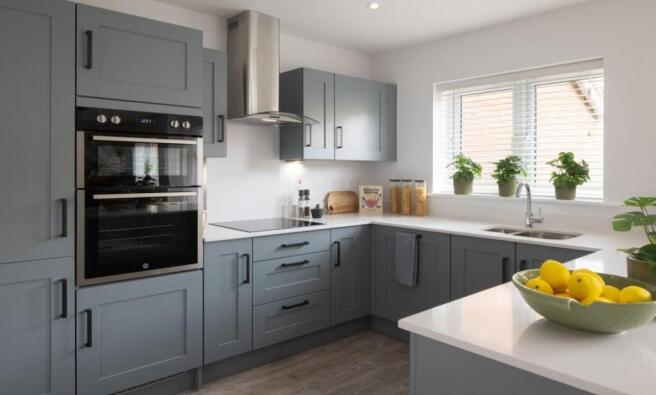 Dandara - Fortuna Fields - The Kingsley, Home 58