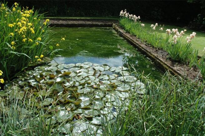 Pond