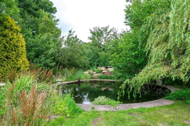Pond