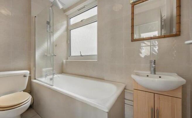 IMAGE 2026-03-26 17:01:40.jpg