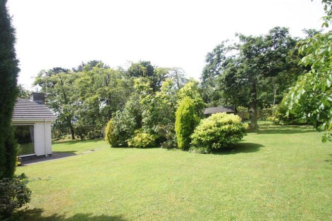Beautiful Grounds
