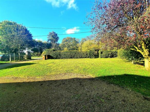 Front garden.1.jpg