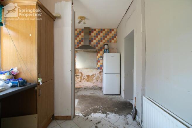 IMAGE 7