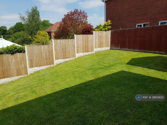Back Garden 