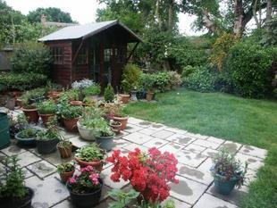 Photo 9