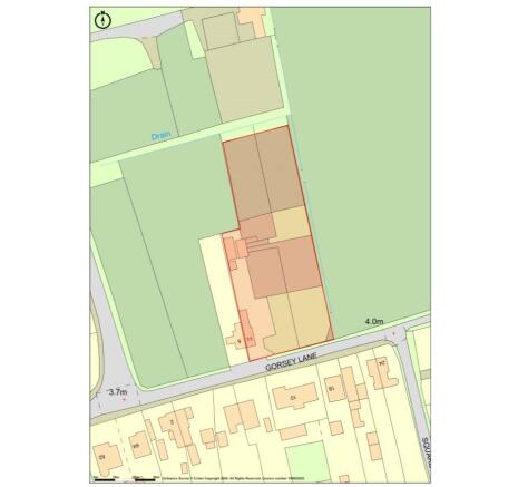 Plot Size